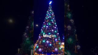 3 places not to miss during #Christmas #christmastree #vacationmode