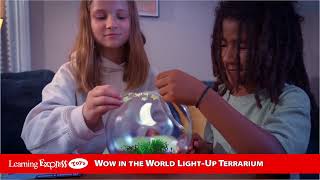 TKM545003   WW LIGHT UP TERRARIUM