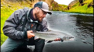 Fly fishing for Atlantic salmon in Mýrarkvísl (Trailer)