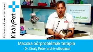 Macska bőrprobléma terápia