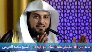 قصة نبي الله سليمان عليه السلام مع الهدهد - الشيخ محمد العريفي