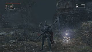 LARGE Forbidden Woods Skip in Bloodborne!