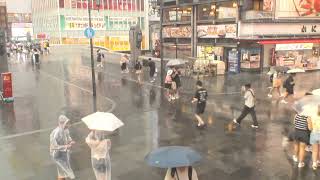 ゲリラ豪雨 2024/9/12 16:30 大阪道頓堀ライブカメラ