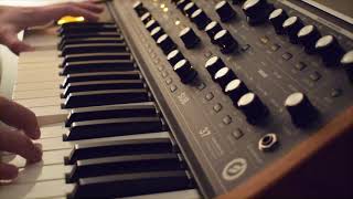 Moog Subsequent 37: Duo Mode Fun (with Ventris Dual Reverb)