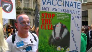 Badger Culling, the 70% target figure & Professor Rosie Woodroffe's Concerns