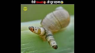 ऐसी Snail से दूर रहना 😰 | Zombie Snail | The Fact | #shorts #ytshorts