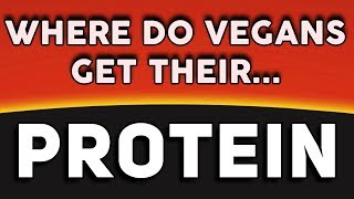 Where do Vegans Get Their Protein?  |  Get the Most out of a Plant Based Diet