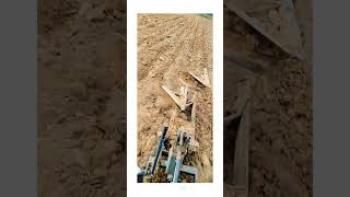 Mahindra jivo 245 4wd ploughing 🚜