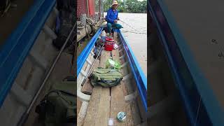 Mồi này cá ăn liên tục khi đủ mùi#shorts #fishing #fish #cauca