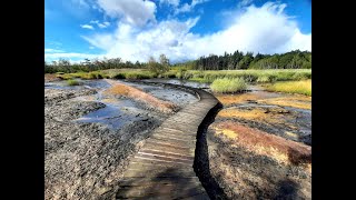 Naturschutzgebiet SOOS bei Franzenbad, Frantiskovy Lazne