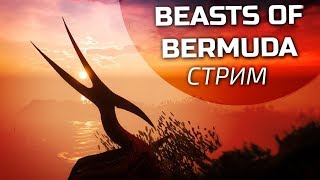 BEASTS OF BERMUDA СТРИМ – Крылатые приключения и новый сервер!