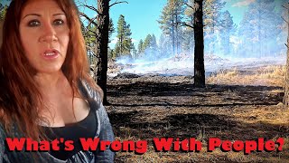 This Isn't The First Time! Arsonist Started Forest Fire In Coconino