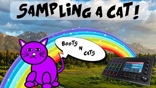 Sampling A Cat - Sample Hunter  - In The House - Ep2