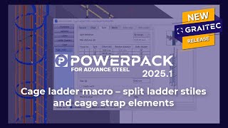 PowerPack for Advance Steel: Cage ladder macro – split ladder stiles and cage strap elements