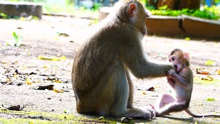 Sarika Slaps Tiny Baby To Fall On The Ground, Baby Comes Up And Plays With Sarika