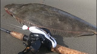 California HALIBUT: Catch Clean & COOK! **Kayak Fishing**