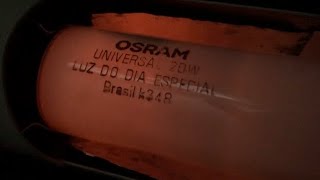 EOL T10 20W Osram Universal Luz Do Dia Especial