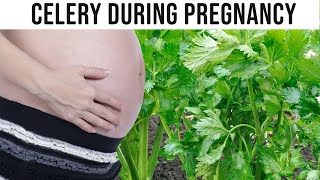 Celery Health Benefits  Is it Safe to Eat Celery during Pregnancy