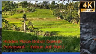 Hidden Place Gobar Ke Kebun Jati - Pancawati