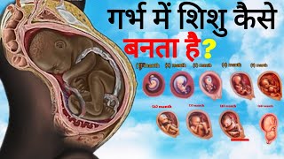 पेट में बच्चे का विकास कैसे होता है || 1 to 9 month of baby growth during Pregnancy