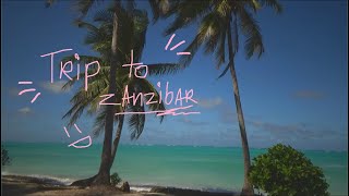 【karliTV: trip to zanzibar】 palms, turtles, weird sea lifeforms 🌴🌺🐢☀️