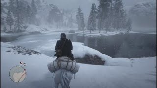 I Killed The Legendary White Bison In Red Dead Redemption 2