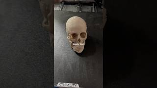 Skull 3d print