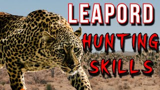 Animals hunting skills