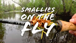 Upper Peninsula Michigan FLY FISHING | Smallmouth on the fly