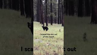 I scared the literal shit out of this bear. #hiking #hunting #bears #wildlife #animals #funny