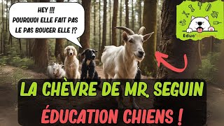 🐕🌲 CHIENS avec une Chèvre en Forêt ! Obéissance et Focus Ultimes 🚀