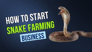 How to start snake farming business