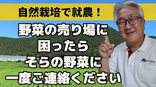 自然栽培で就農！野菜の売り場に困ったらそらの野菜へ【自然栽培】【無農薬】【無肥料】【自然農法】【自然農】【栽培基準】【食の安全】【オーガニック】【有機JAS】【自然食品】