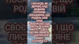 "Секрети успішного та благополучного життя: вчимося як дерево з Псалмів 1:3"🎋🌳🌴