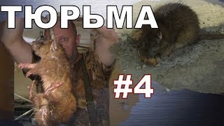 #04. Охота на КРЫС с комплексом “HWRAT-HUNTER“. Тюрьма