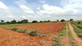 1 Acre 20 Gunta Land ( suitable for farm house or Layout )for sale in Mysore ( 9110861228 )