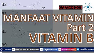 Manfaat Vitamin - 2 Vitamin B