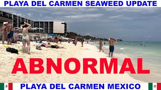 PLAYA  DEL CARMEN BEACH SEAWEED UPDATE - ABNORMAL BEACH CONDITIONS