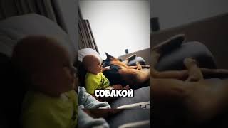 🐕👶Дружба ребёнка и собаки #шортс #мем #delega #shorts