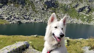 Giro dei laghetti sul San Gottardo @Artmen56