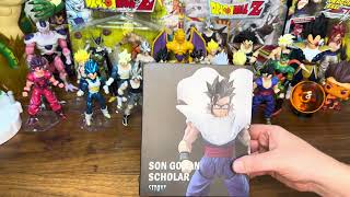 CT TOYS SON GOHAN SCHOLAR DRAGON BALL SUPER  Action Figure Review - HOLY ACCESSORIES!