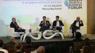 Green Growth & Business Forum 2016: Advocating for Green Finance