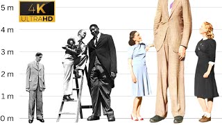 Meet the World's Tallest Human | 3D Comparison