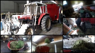 Futtermischen (STEPA und STEYR 8055) (GoPro)