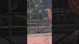 Easy.. #shorts #basketball #ballislife #basketbol #shortsvideo #shortsclip