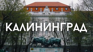 Калининград. Путешествие в нулевые