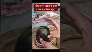 बेलपत्र का महत्त्व जानिए। हर हर महादेव 🀄#shorts #viral #trending #like #subscribe