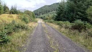 Walking forest road in Lochaline Forest