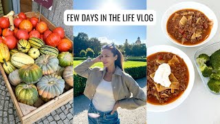 VLOG | How To Stay Consistent, Lasagna Soup Recipe, Fall Baking & more! | Annie Jaffrey