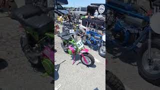 gopowersports mini bikes